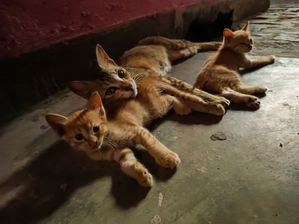 Photograph by Sanchari Nag