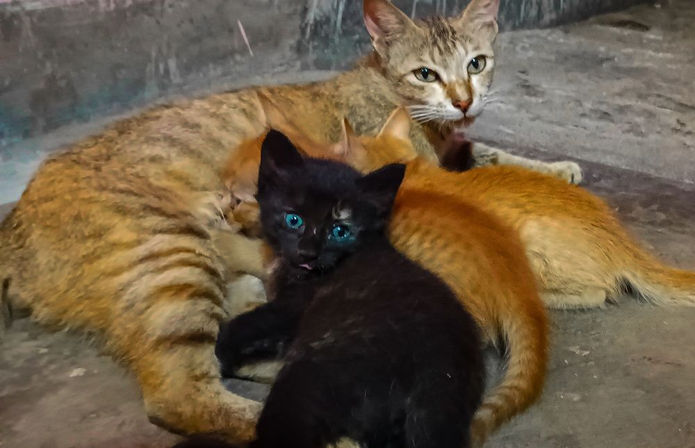 Photograph by Sanchari Nag