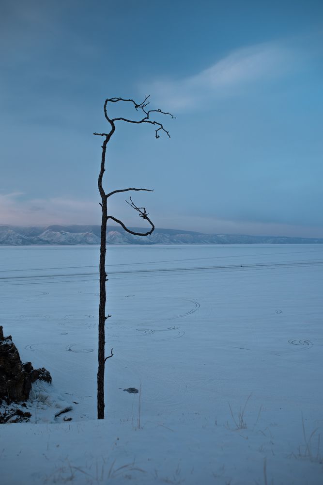 Photograph by Antonina Marchenko