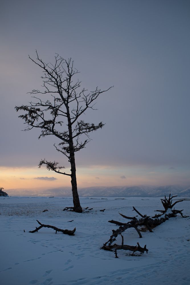 Photograph by Antonina Marchenko