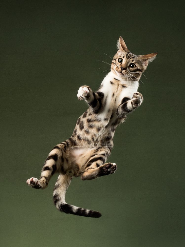 Photograph by Дарья Быстрицкая