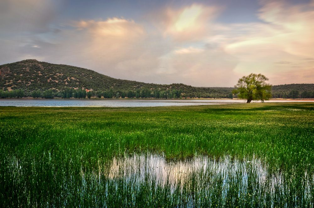 Photograph by moussa idrissi