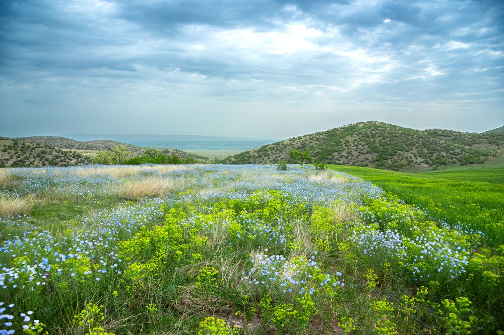 Photograph by Юрий Киреичев
