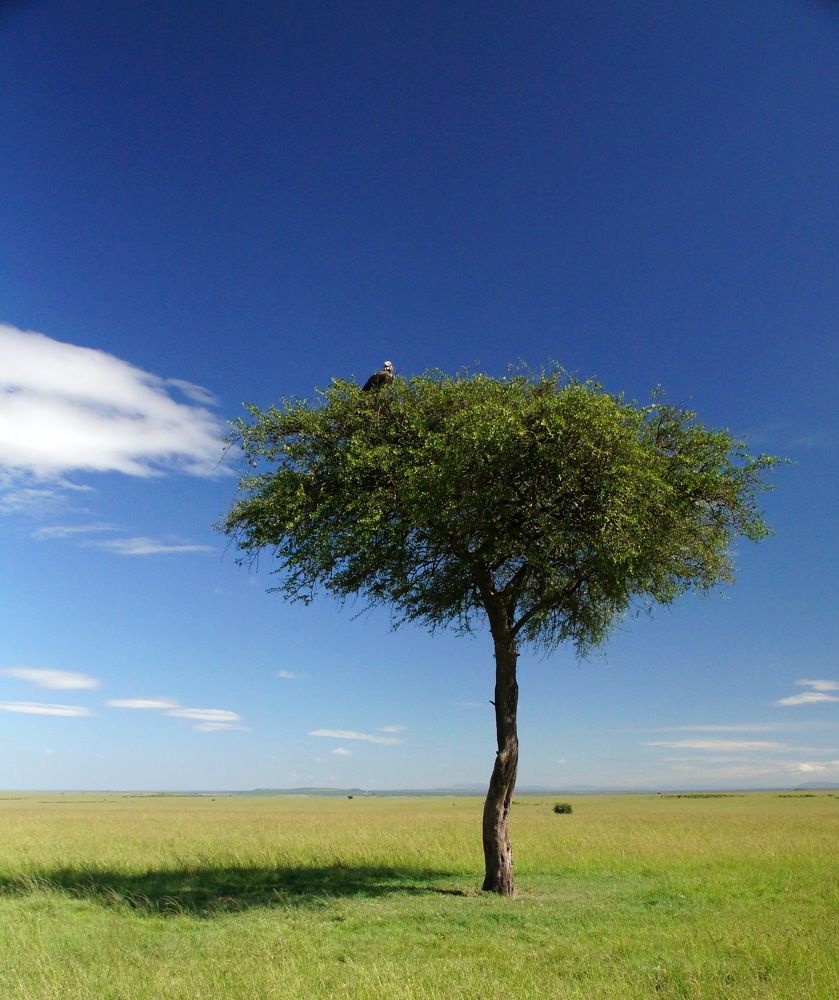 Photograph by Юрий Сычев