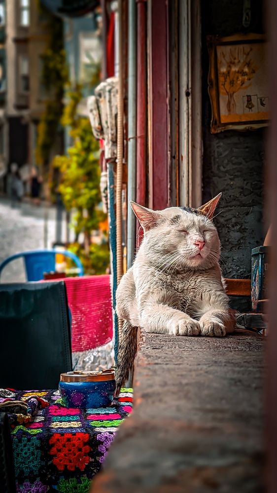 Photograph by Lenar Valeev