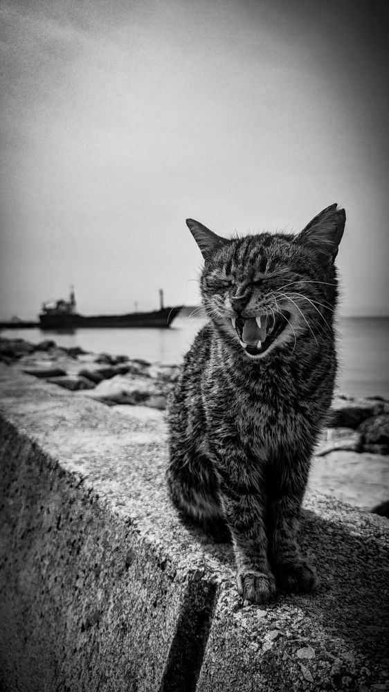 Photograph by Lenar Valeev