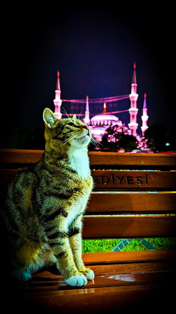 Photograph by Lenar Valeev