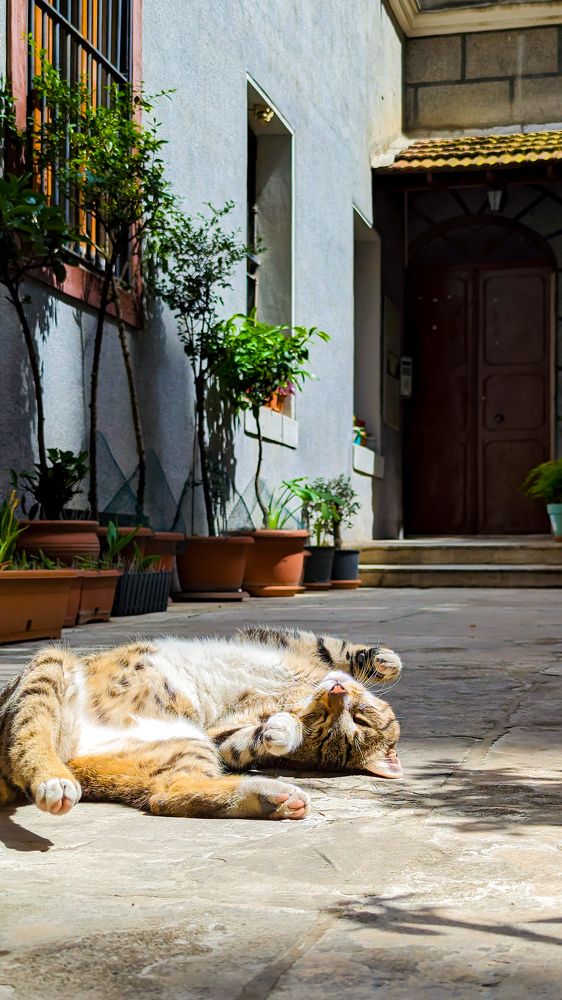 Photograph by Lenar Valeev