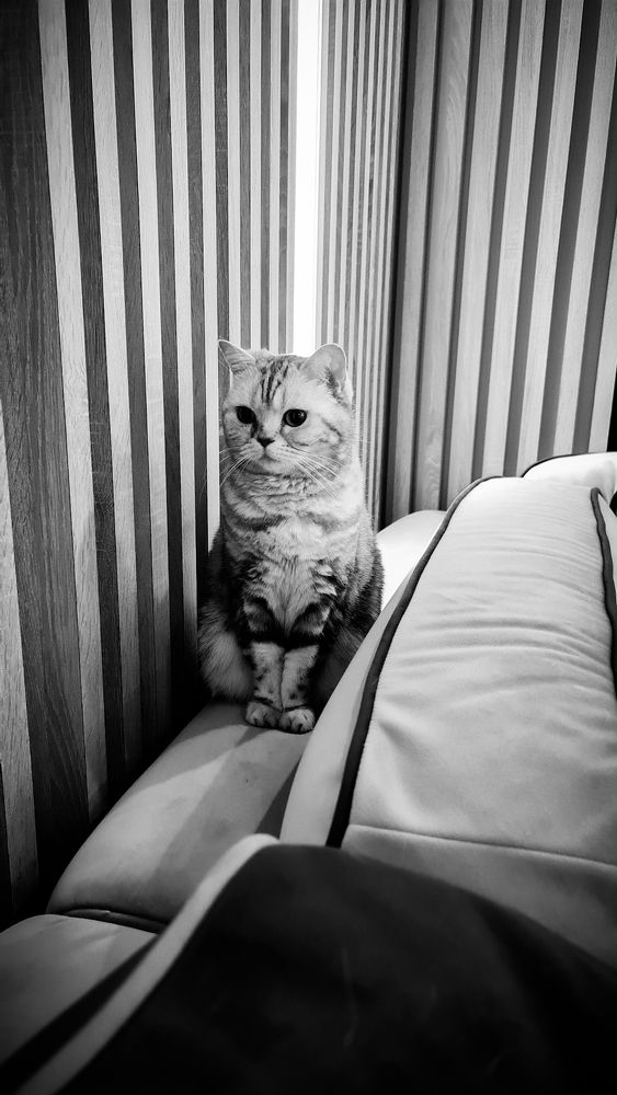 Photograph by Елена Ефимова