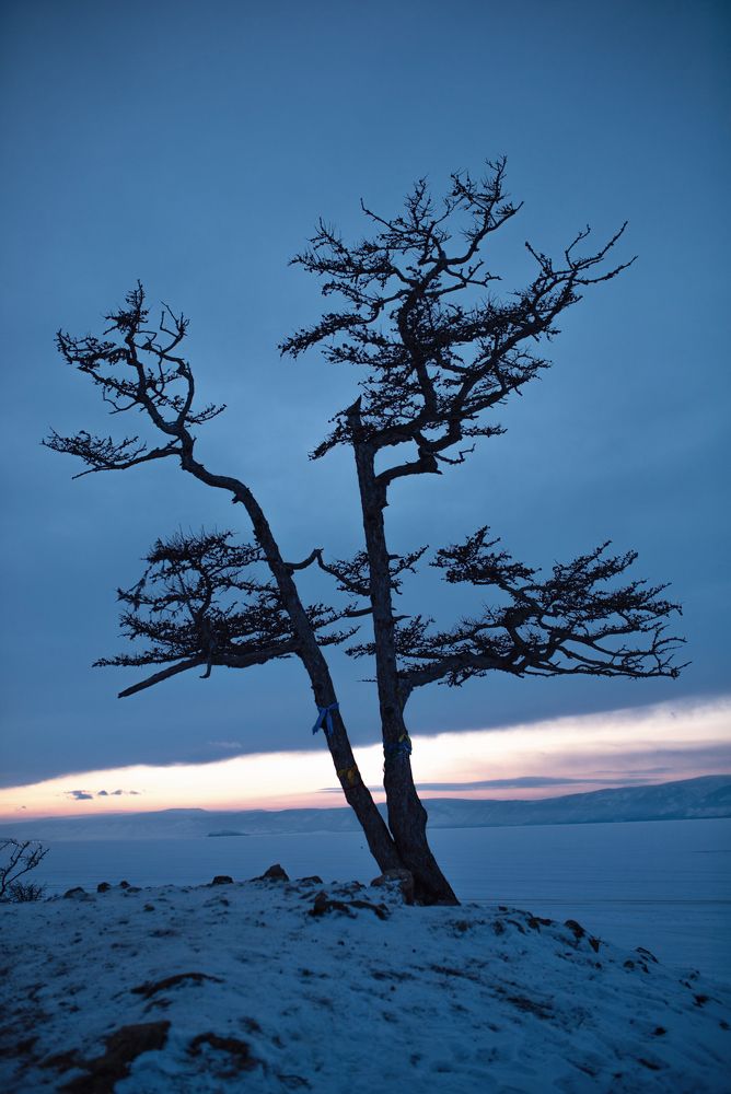 Photograph by Antonina Marchenko