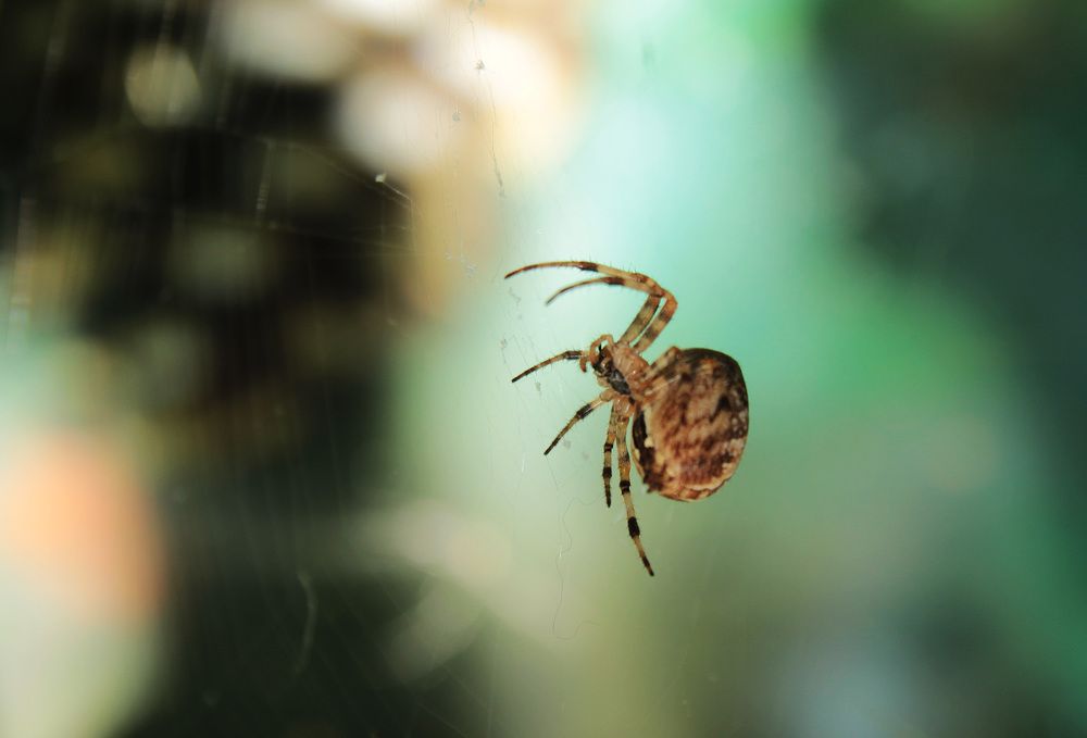 Фотография автора Андрей Рогов