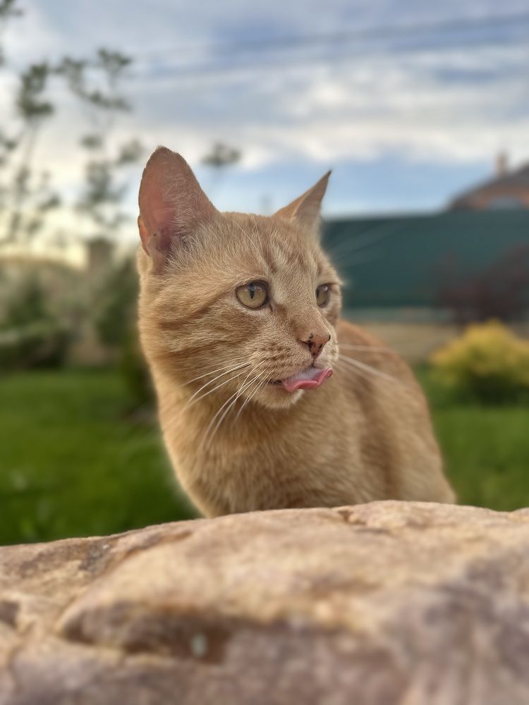 Photograph by Ksenia Rastokina