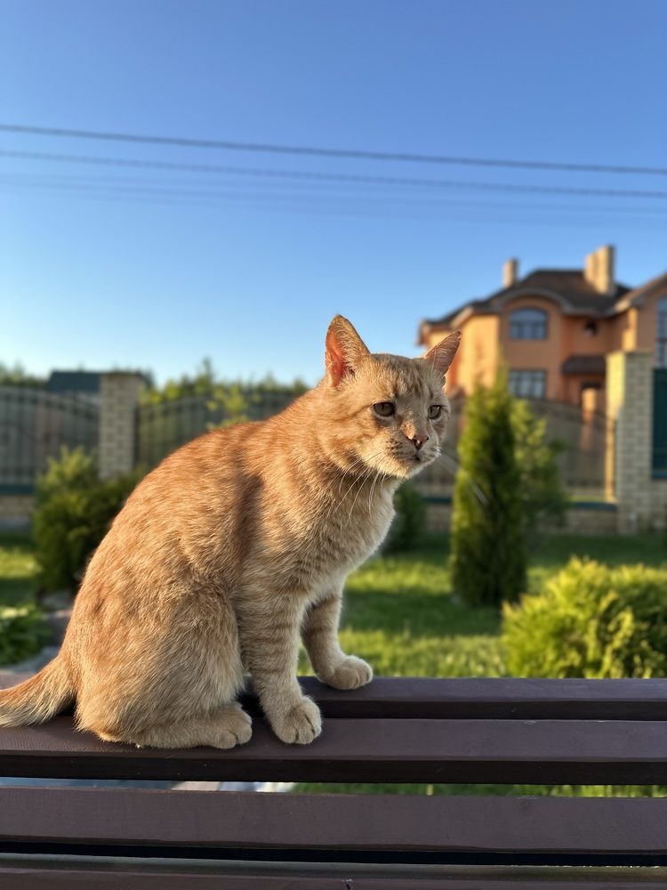 Photograph by Ksenia Rastokina