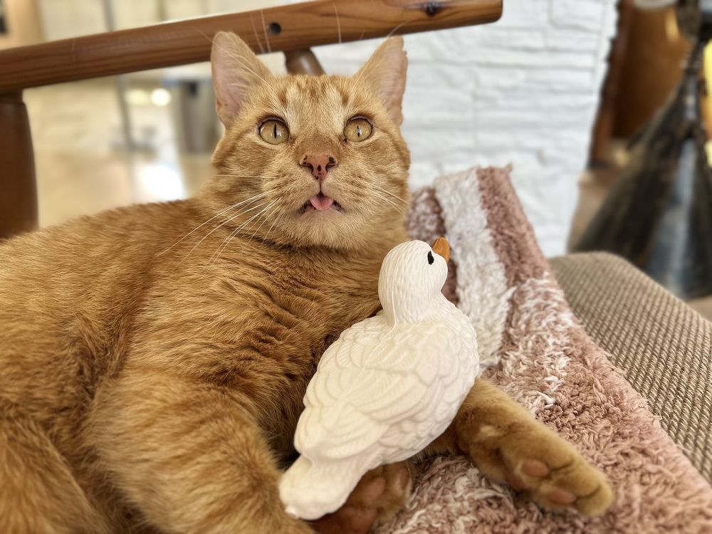 Photograph by Ksenia Rastokina