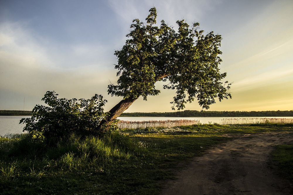 Фотография автора Андрей Рогов