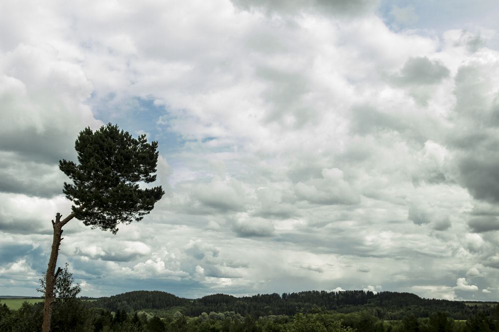 Фотография автора Андрей Рогов