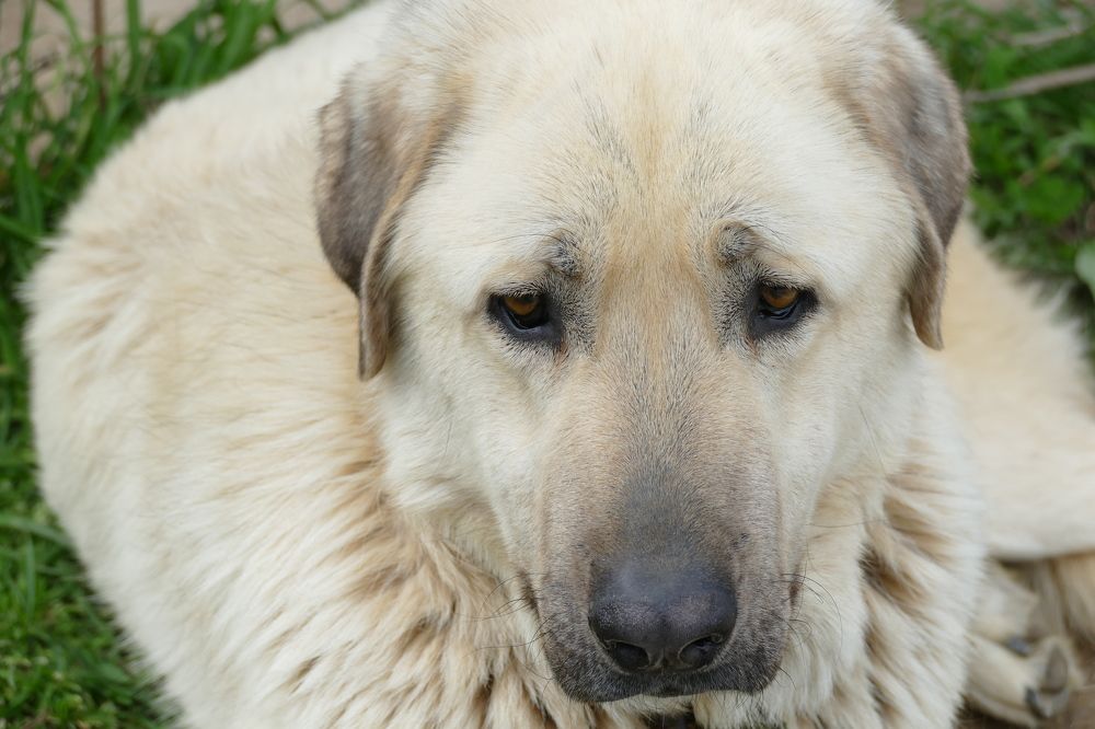 Photograph by Viktorija Spasenoski