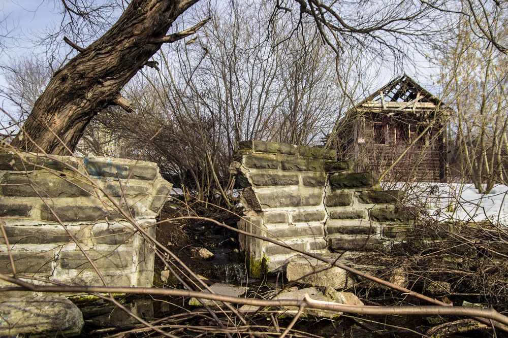 Фотография автора Андрей Рогов