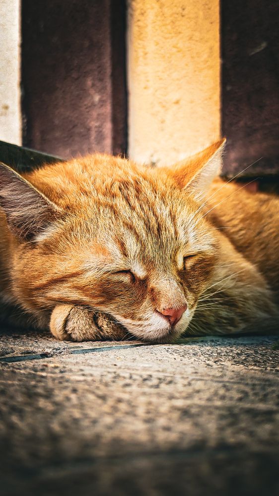 Photograph by Lenar Valeev