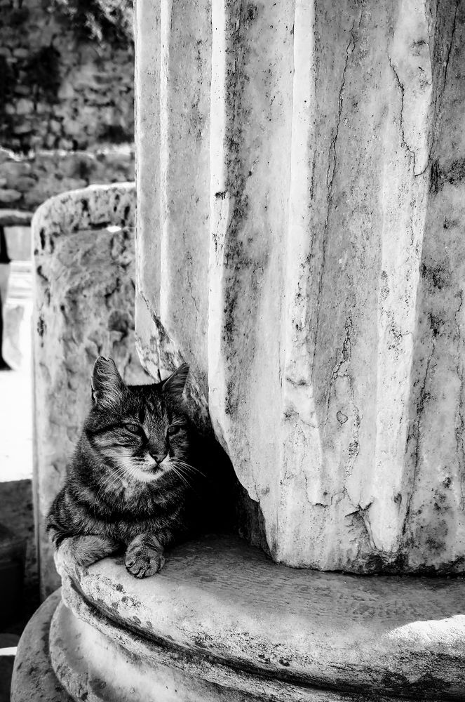 Photograph by Елена Ефимова