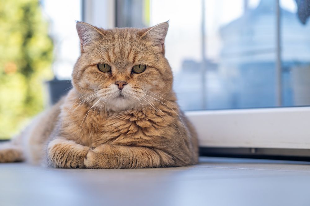 Photograph by Савицкий Анатолий