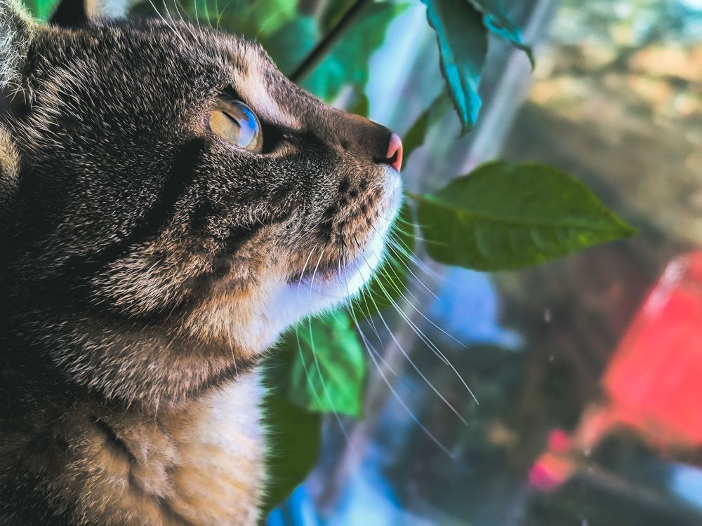 Фотография автора Лена Гром