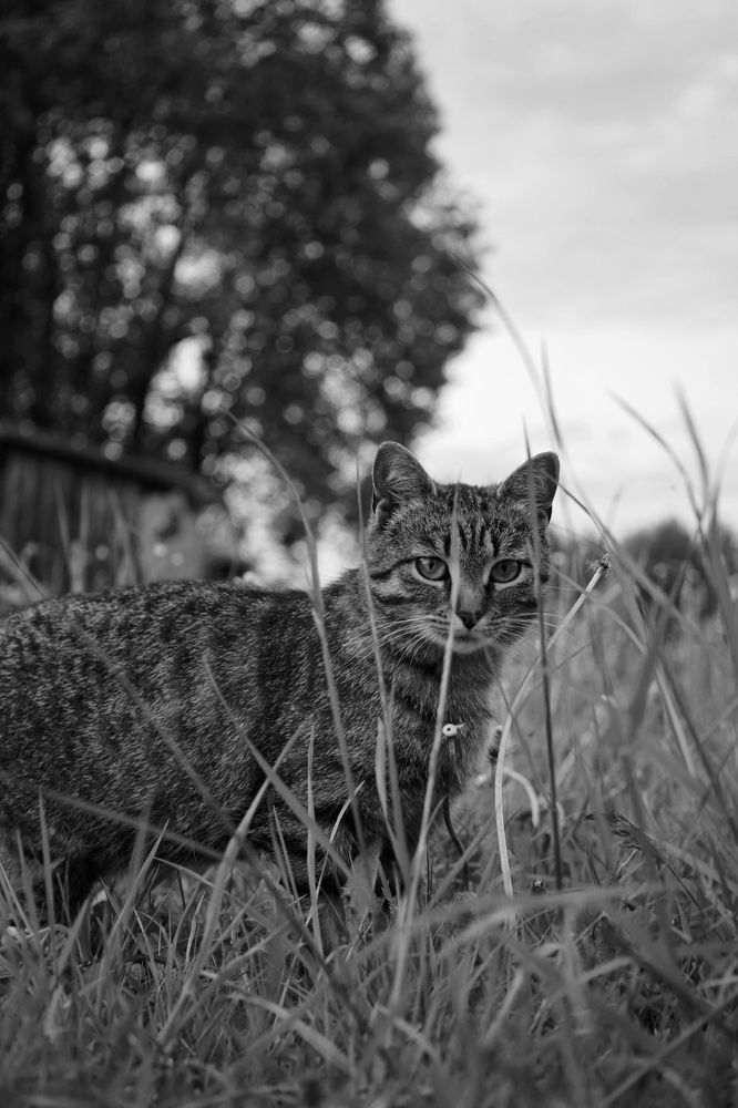 Photograph by Milena Paile