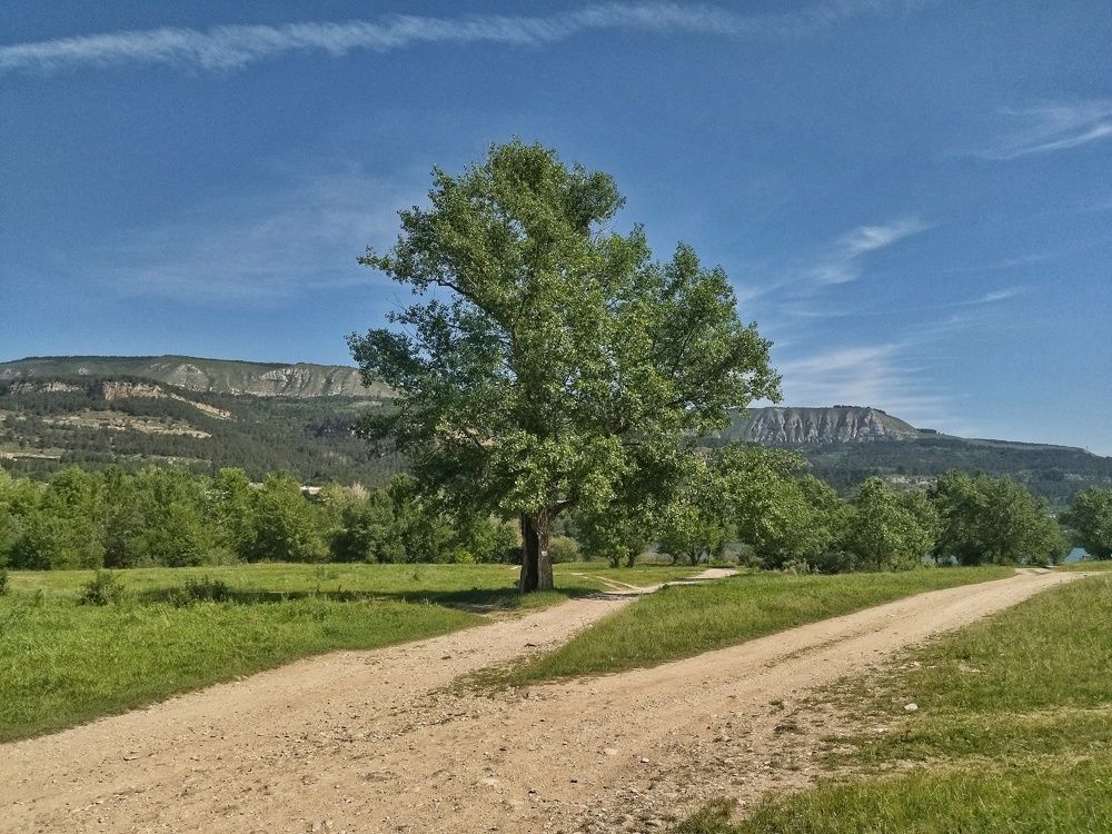 Photograph by Эльза Трисантович