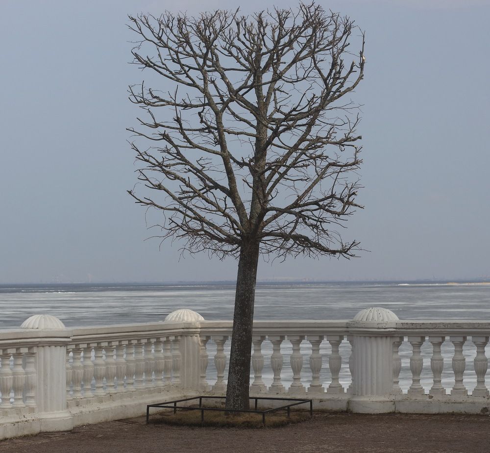 Мрачная пора