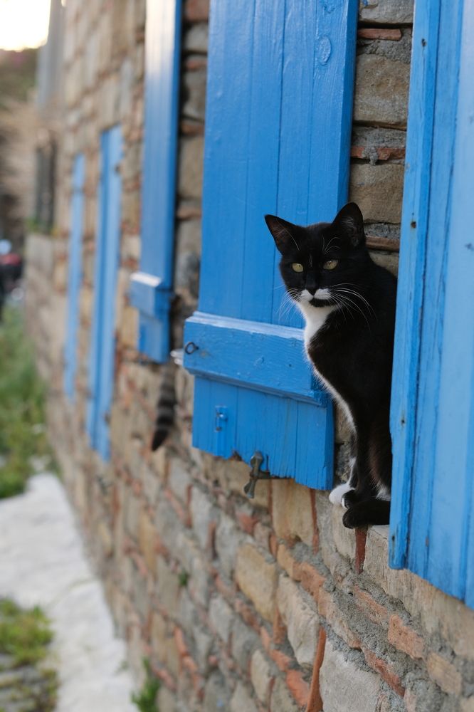 Photograph by Antonina Geckil