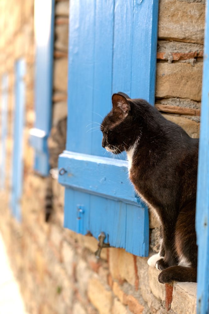 Photograph by Antonina Geckil