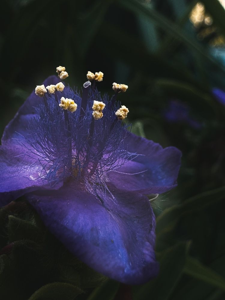 Photograph by Виктория Петренко