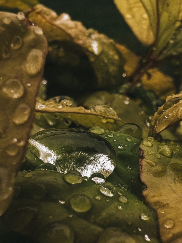 Photograph by Виктория Петренко