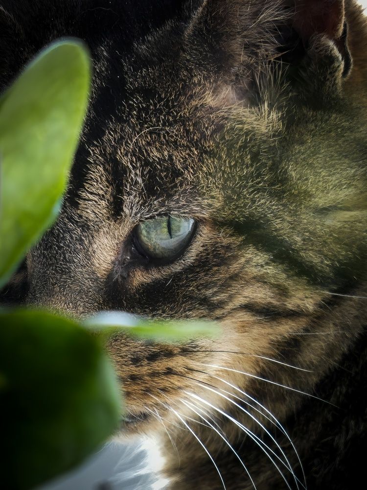 Фотография автора Michael Gault