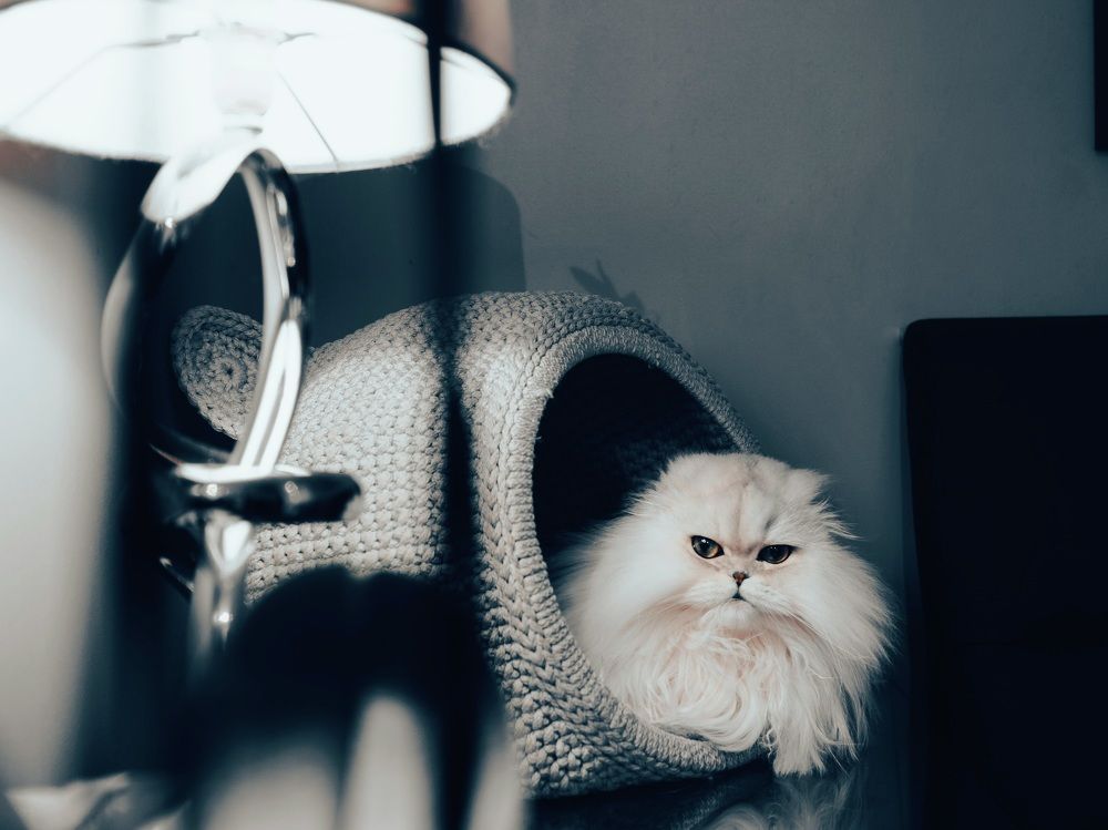 Photograph by Raimondas Zavackis