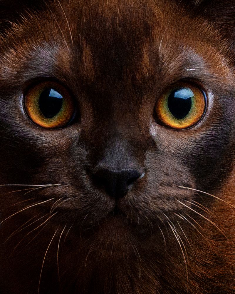 Photograph by Расим Римиев