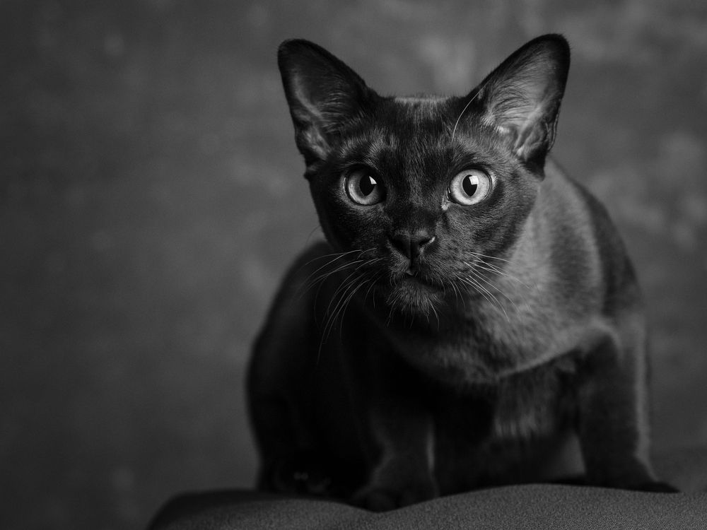 Photograph by Расим Римиев