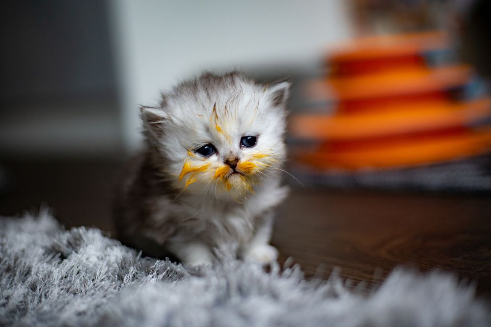 Photograph by Raimondas Zavackis