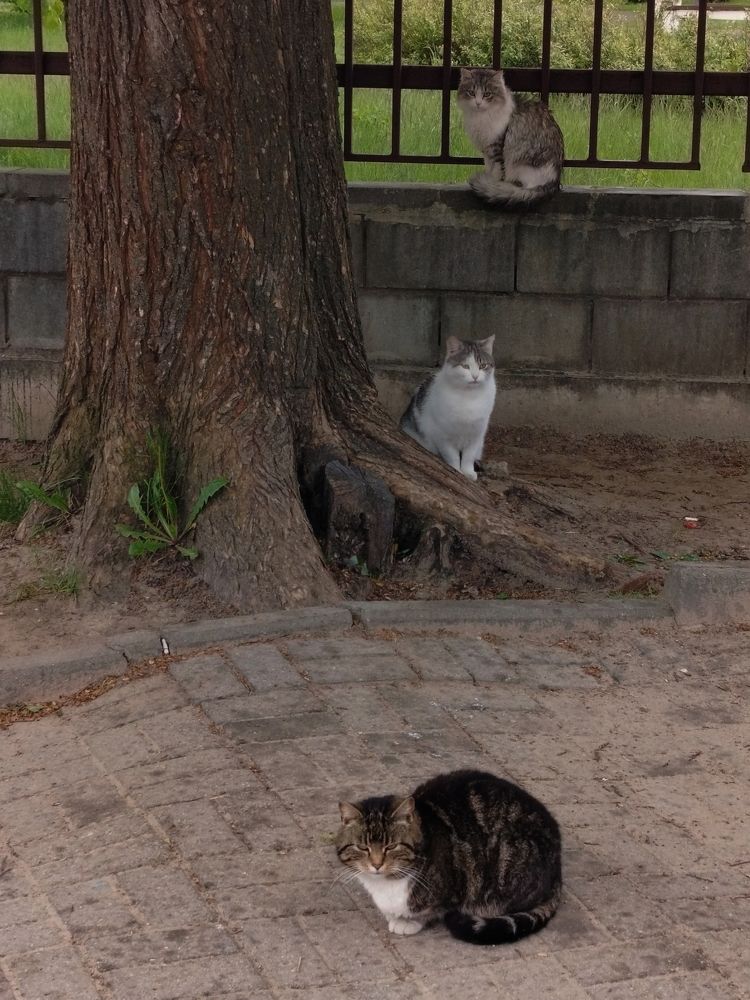 Фотография автора Алина