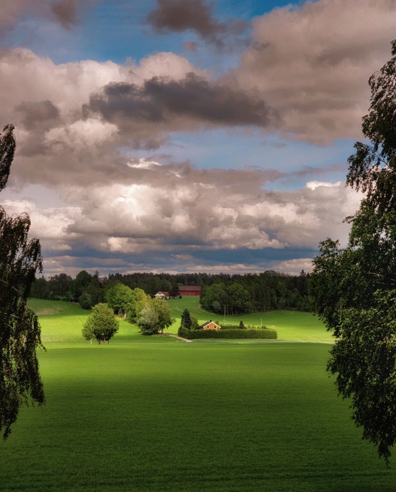 Фотография автора Alina Filimonova