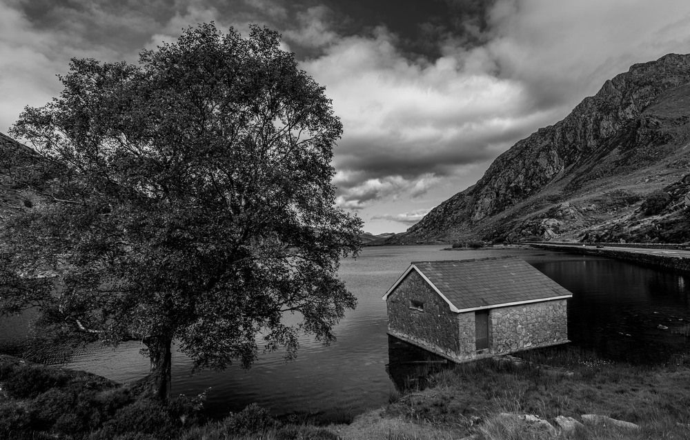 Photograph by Raimondas Zavackis