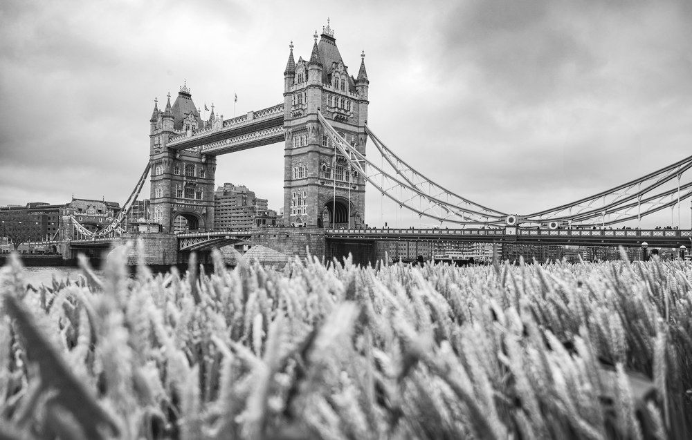 Photograph by Raimondas Zavackis