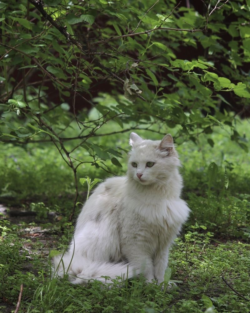 Фотография автора Ирина Мосько
