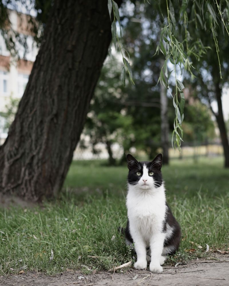 Фотография автора Ирина Мосько