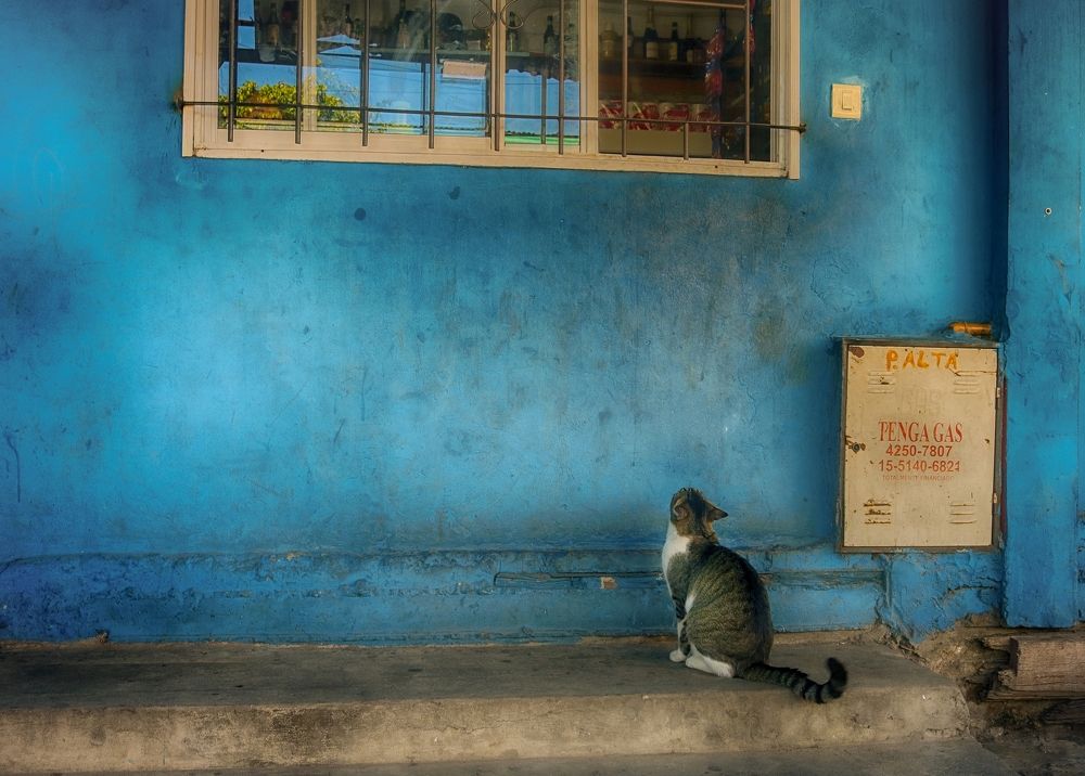 Photograph by Viviana García