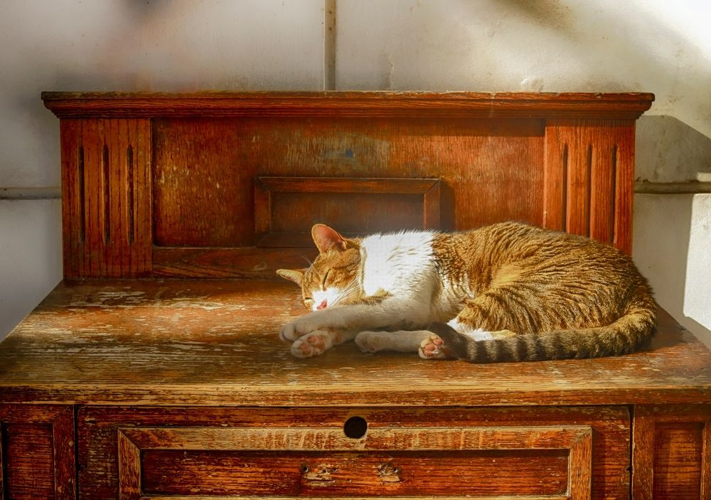 Photograph by Viviana García