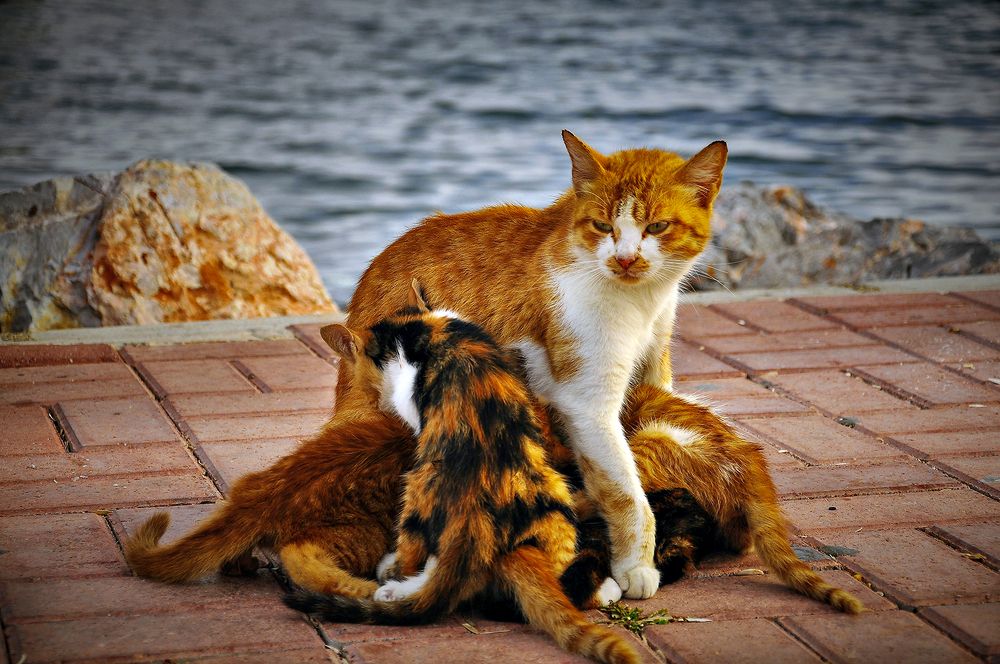 Photograph by ERDAL TURKOGLU