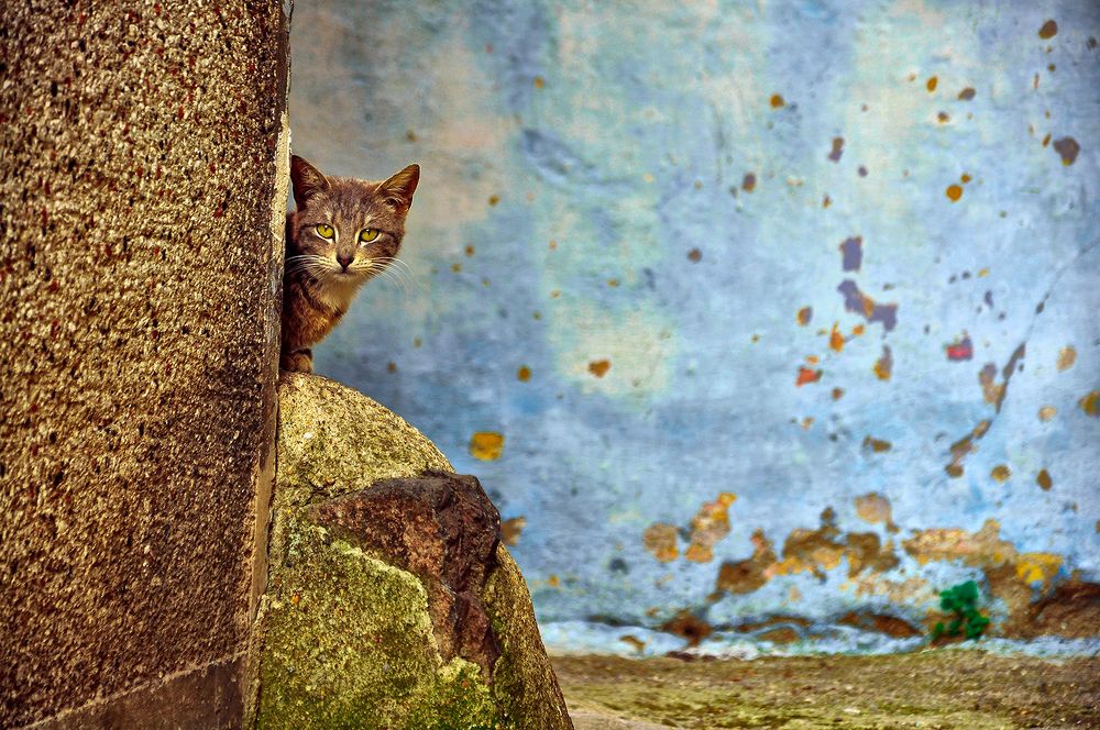 Photograph by ERDAL TURKOGLU