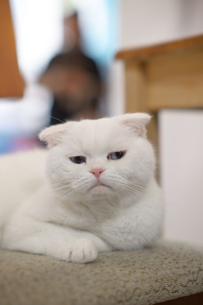 Photograph by Иван Самохвалов