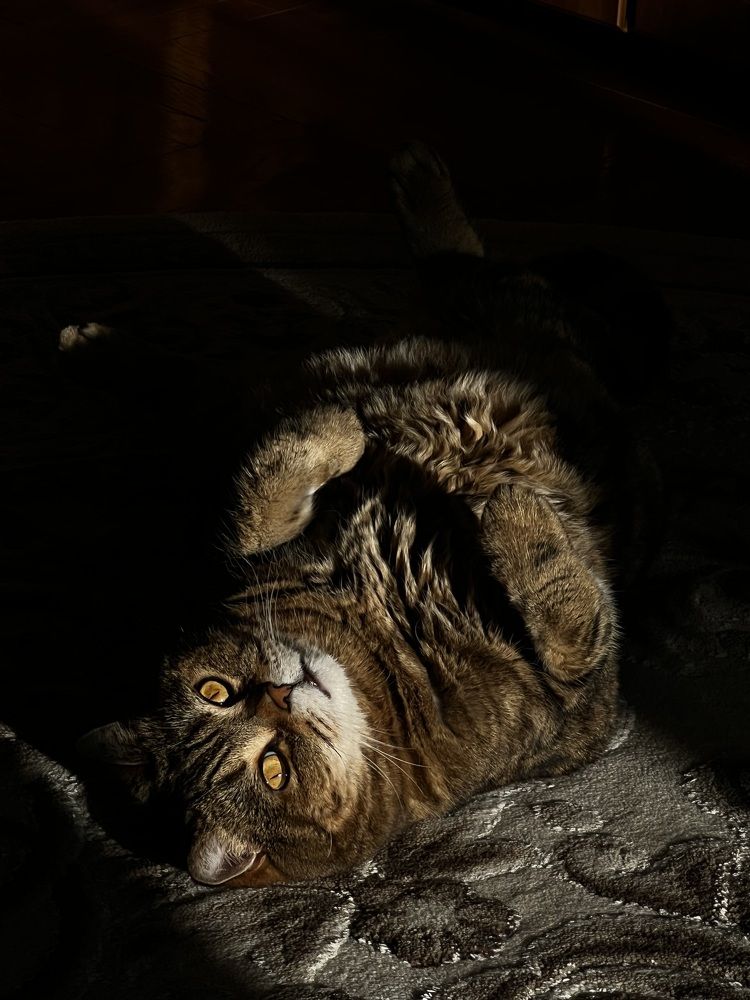 Photograph by Елена Зенкевич